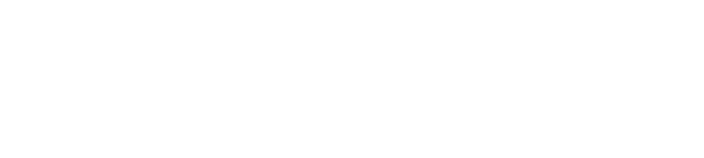 Skin Rocks Logo